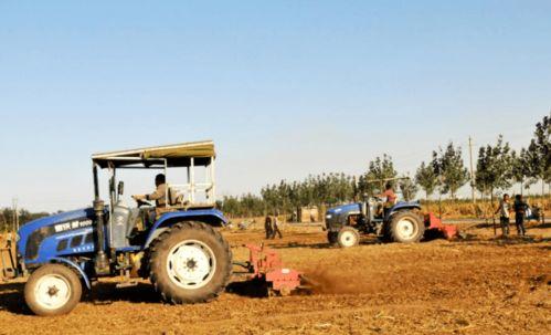 沙河农民爆料最新,揭秘农村发展新动向 第1张 沙河农民爆料最新,揭秘农村发展新动向 第1张